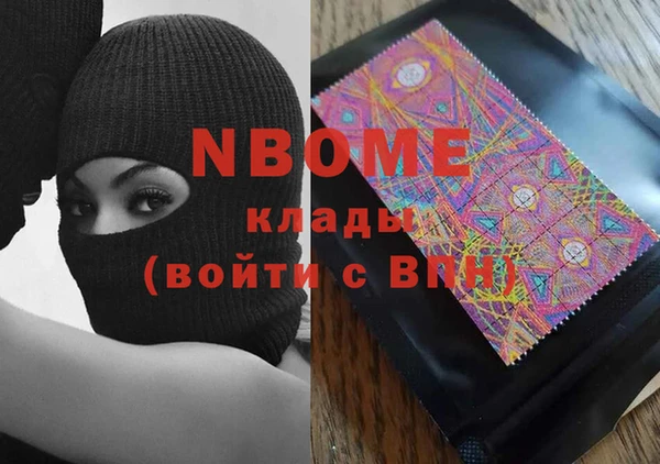 хмурый Алзамай