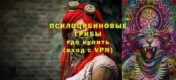хмурый Алзамай