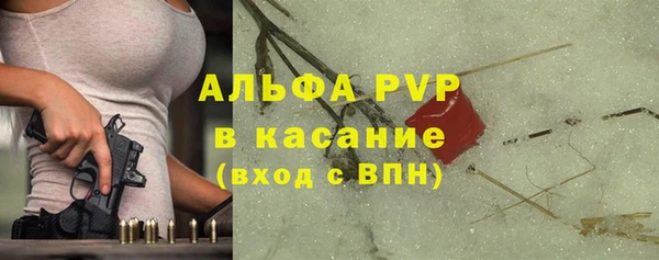 хмурый Алзамай