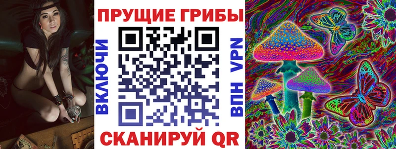 Галлюциногенные грибы прущие грибы  Полярные Зори 
