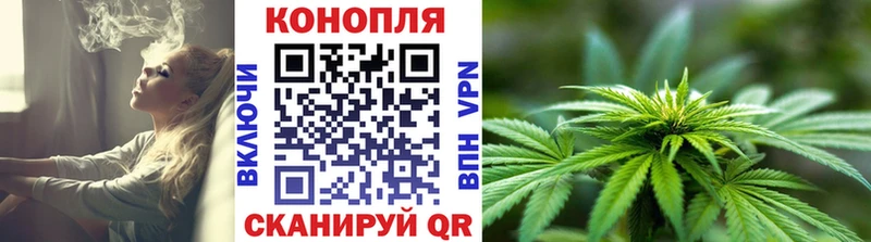 Бошки марихуана конопля  Полярные Зори 